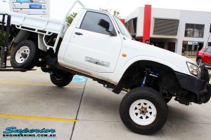 Right side view of this Nissan GU Patrol Ute being flexed from the rear left tyre after fitment of a Superior 4-5 Inch Lift Kit with Superior Remote Reservoir Shocks & Superior Hybrid 5 Link Radius Arms